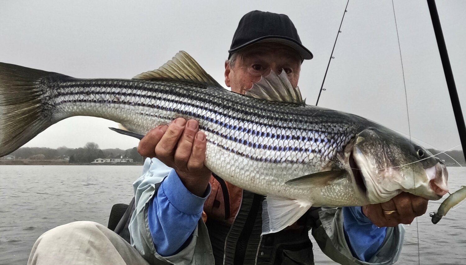 17 Best Striped Bass Lures for Trolling, Jigging and Casting