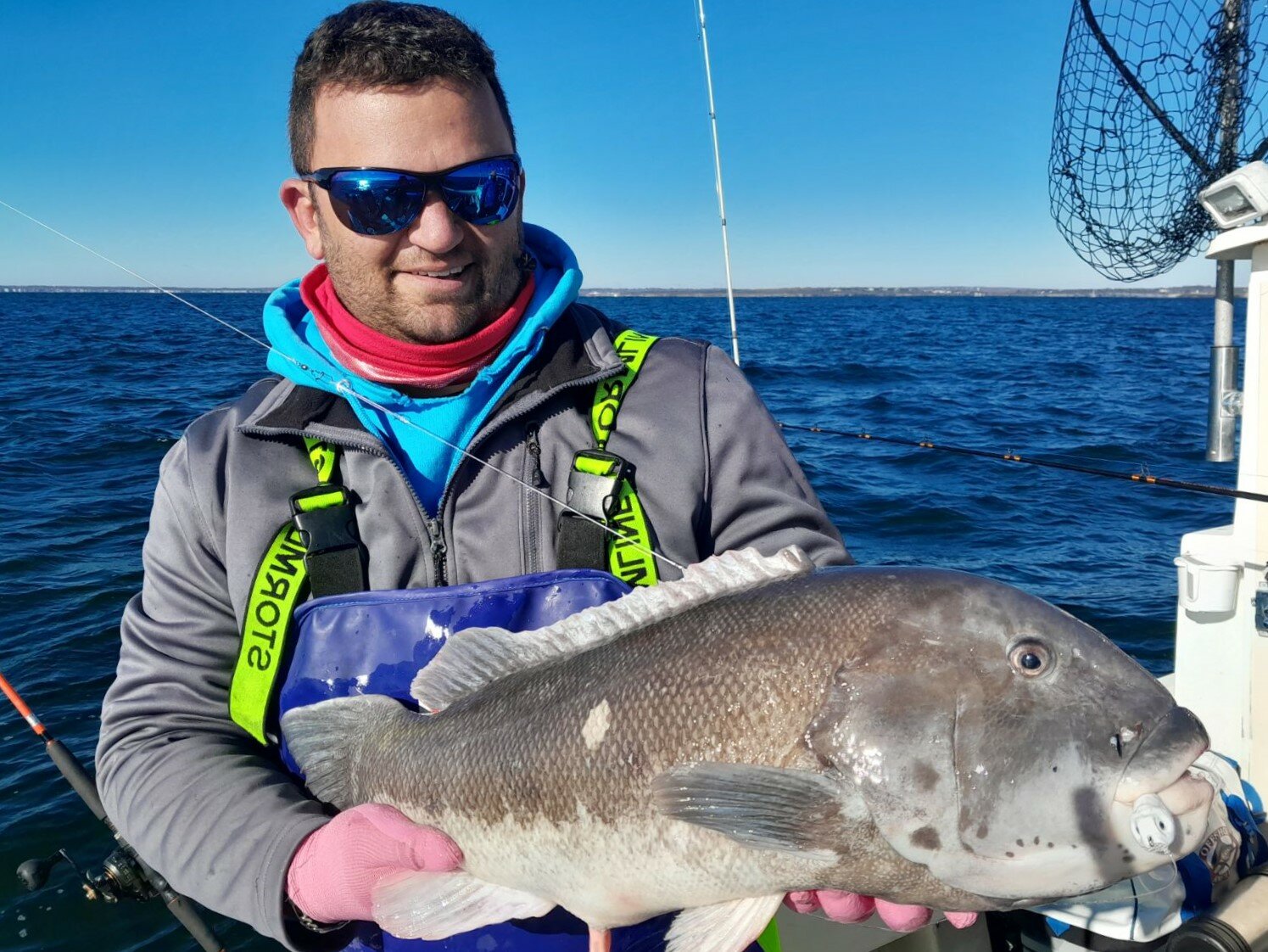 Tautog bite has been outstanding – get out and fish